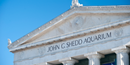 Shedd Aquarium | Hotel EMC2