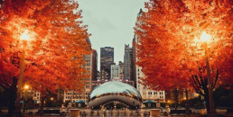 Cozy Things to Do in Chicago This Fall | Hotel EMC2