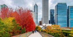6 Ways to Celebrate Thanksgiving in Chicago This Year | Hotel EMC2