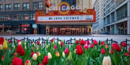 Hotel EMC2 | 6 Things to do in Chicago This Spring