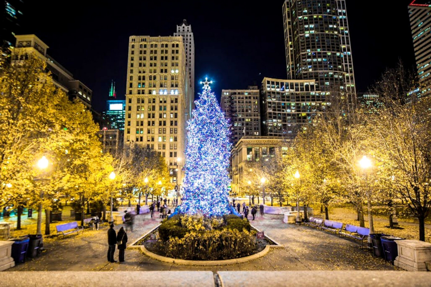 6 of the Most Instagrammable Things to do During the Holidays in Chicago (1)