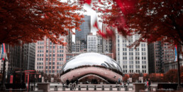 7 Festive Fall Activities To Enjoy In Chicago
